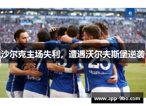 沙尔克主场失利，遭遇沃尔夫斯堡逆袭